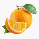 Orange wholesale mandi rate Tamil Nadu